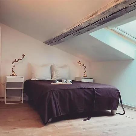 En Triplex Plein Centre Nancy